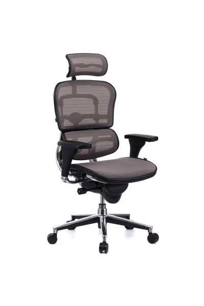 Concept Mobili Διευθύνουσα καρέκλα ERGOHUMAN Plus, γκρι πλέγμα, προσκέφαλο 2D...