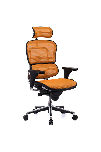 Concept Mobili Διευθύνουσα καρέκλα ERGOHUMAN Plus, πορτοκαλί πλέγμα, προσκέφα...