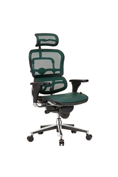 Concept Mobili Διευθύνουσα καρέκλα ERGOHUMAN Plus, σκούρο πράσινο πλέγμα, προ...