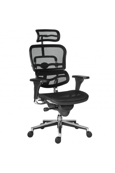 Concept Mobili Διευθύνουσα καρέκλα ERGOHUMAN Plus, μαύρο πλέγμα, προσκέφαλο 2...