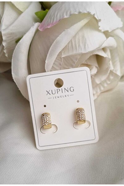 İNİTİUM Xuping Paslanmaz Çelik Minimal Halka Zirkon Taşlı 14K Gold Küpe