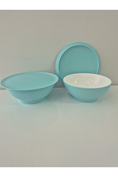 Tupperware Berrak Allegra 275 ml Dessert Bowl Set of 2, Storage Container