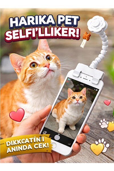 MultiZone جهاز تصوير الحيوانات الأليفة |   مشبك هاتف لافت للنظر على شكل قطة أ...