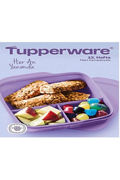 Tupperware Bölmeli Beslenme Kutusu Kare 550ml Mor