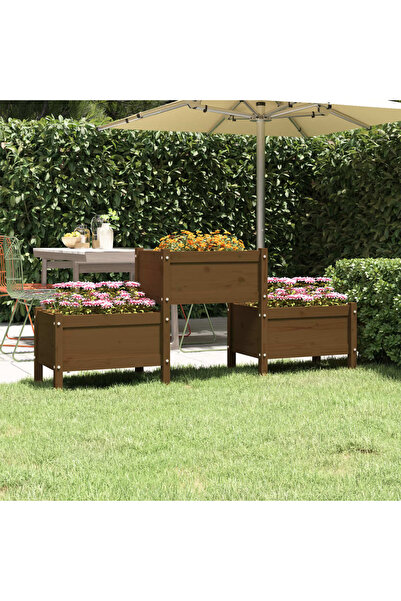 Concept Γλάστρα, μελί καφέ, 178,5x44x75 cm, μασίφ ξύλο πεύκου