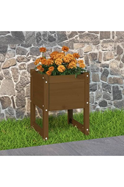 Concept Γλάστρα, καφέ μελί, 40x40x52,5 cm, μασίφ ξύλο πεύκου