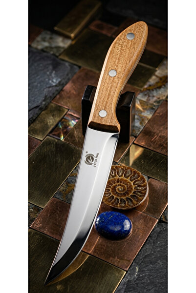 Advanced kitchen knife with wooden handle