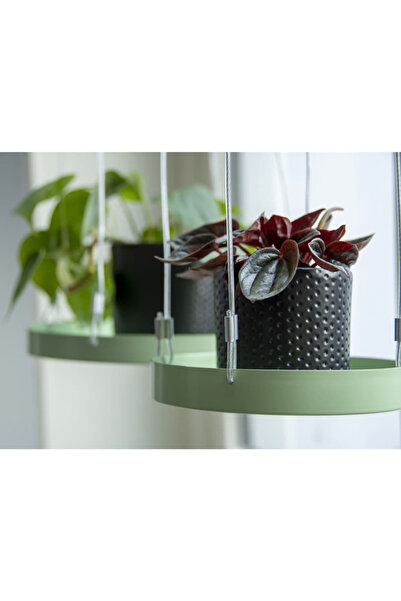 Esschert Design Висяща тава за растения, зелена, кръгла, S