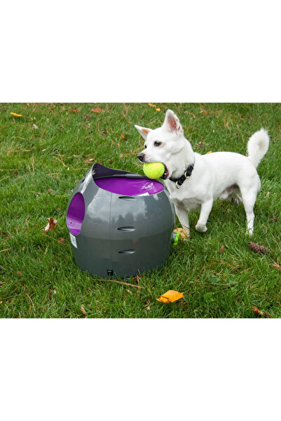 PetSafe Lansator automat de mingi 9 m, gri și violet, PTY00-14665