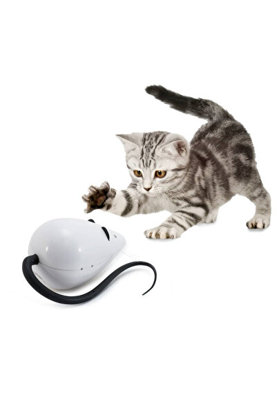 FROLICAT Αυτόματο παιχνίδι γρίφων για γάτες "RoloRat"