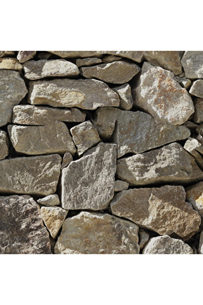 Komar Τοιχογραφία τοίχου από πέτρα, 368 x 254 εκ., 8-727