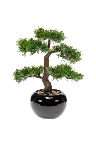 EMERALD Cedru artificial bonsai, verde, 34 cm 420003