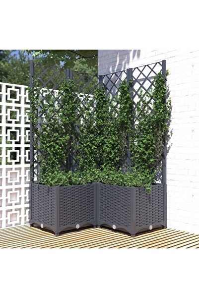 Concept Γλάστρα κήπου με πέργκολα, σκούρο γκρι, 80x80x136 cm, PP