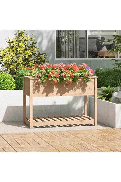 Concept Γλάστρα με ράφι, 111,5x54x81 cm, από μασίφ ξύλο πεύκου