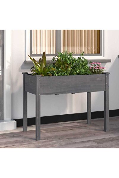 Concept Γλάστρα με Με φόδρα, γκρι, 118x59x76 εκ., από μασίφ ξύλο ελάτης
