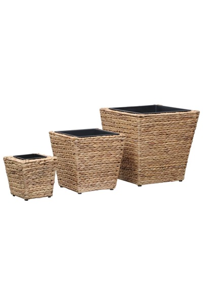 Concept Υπερυψωμένα παρτέρια κήπου, 3 τεμ., υάκινθος νερού