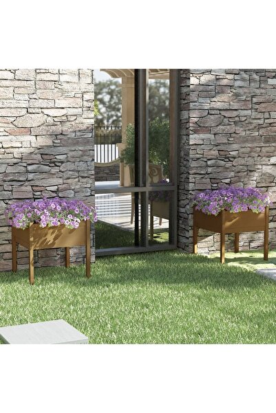 Concept Γλάστρες κήπου 2 τεμ. καφέ-μελί 70x70x70 εκ. από μασίφ ξύλο πεύκου