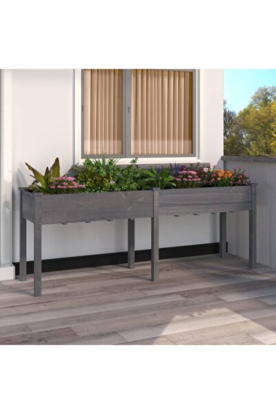 Concept Γλάστρα με Με φόδρα, γκρι, 203x53x76 εκ., από μασίφ ξύλο ελάτης
