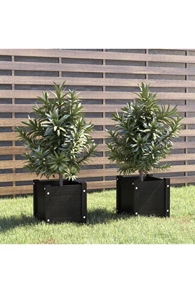 Concept Γλάστρες κήπου, 2 τεμ., μαύρες, 31x31x31 cm, από μασίφ ξύλο πεύκου
