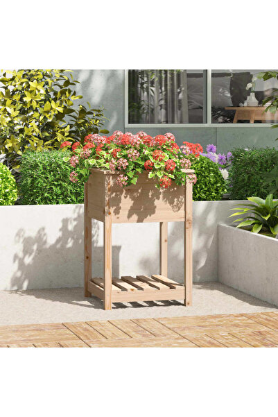 Concept Γλάστρα με ράφι, 54x54x81 cm, από μασίφ ξύλο πεύκου