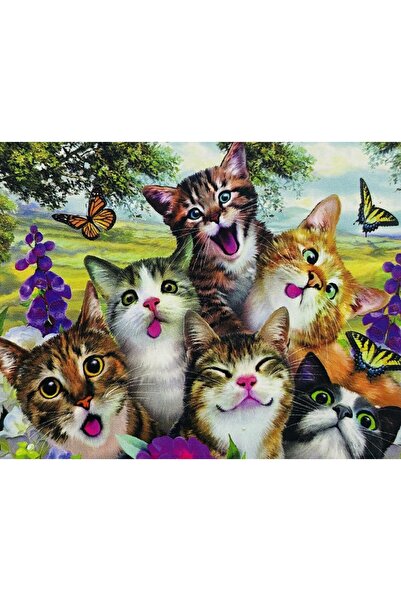 EleganTShoP 5D Yapışan Boncuk Mozaik Tablo 30*40 cm PNXX03