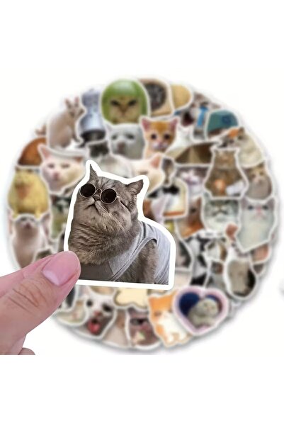 AlohamoraShop 20 Adet Karışık Büyük Komik Kedi Meme Cat Sticker Seti, Çıkartm...
