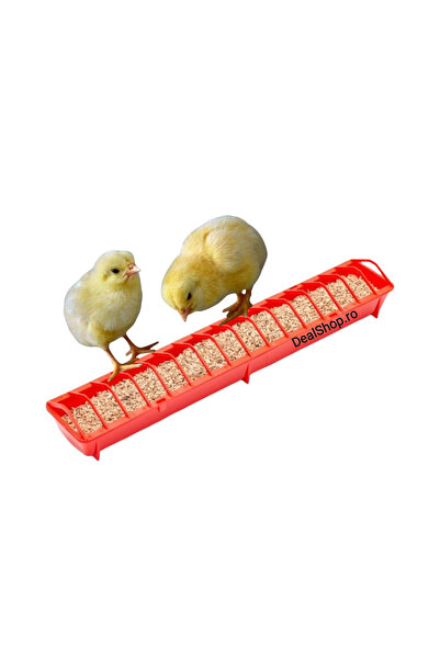 dealshopromania Plastic chicken feeder 50 cm capacity 1.5 liters