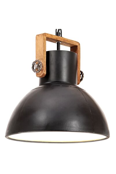 Concept Βιομηχανικό κρεμαστό φωτιστικό, μαύρο, 30 cm, 25 W, E27, στρογγυλό