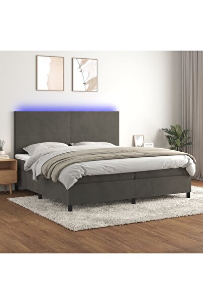Concept Κρεβάτι με ελατήρια, στρώμα και LED, σκούρο γκρι, 200x200 cm, Βελούδο