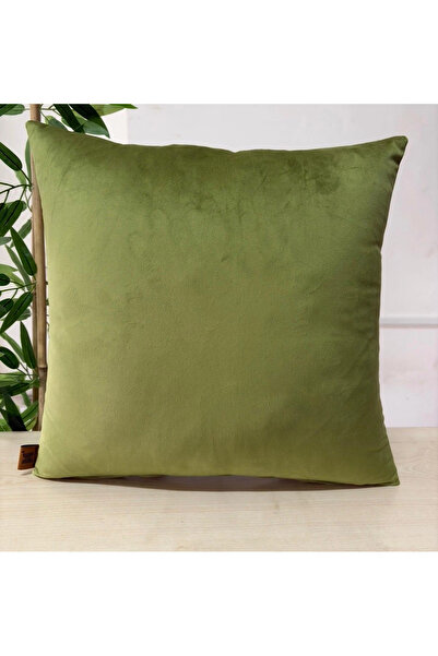 Elanora Home غطاء وسادة فاخر ناعم من المخمل باللون الأخضر الفاتح، ذو ملمس ناع...