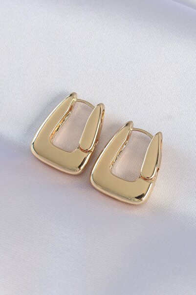 Inure Jewelry Brass Gold Color Thick Earrings