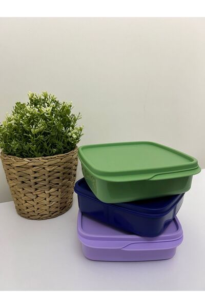 Tupperware Compartmented Lunch Box 3 Pieces 550 Ml.