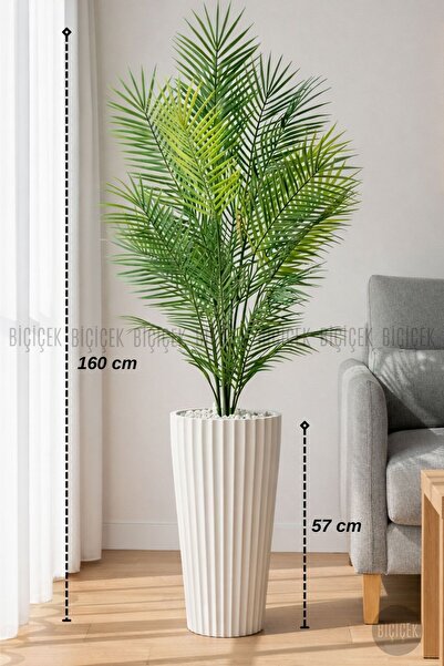 BİÇİÇEK 160 CM AREKA AĞACI 24 YAPRAKLI BEYAZ LİLYUM SAKSIDA