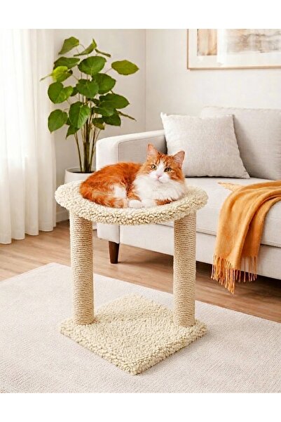 Turkuaz Tırmalama Tr992 Hammock Cat House Cat Scratching Board