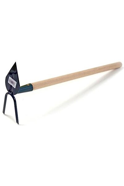 Strend Pro Sapaliga, ascutita, cu coada lemn, 2 dinti, 55 cm,