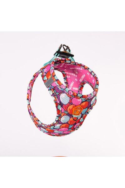 Pawstar Airmesh Balloons Göğüs Tasması