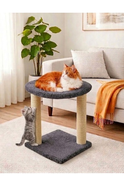 Turkuaz Tırmalama Tr992 Hammock Cat House Cat Scratching Board