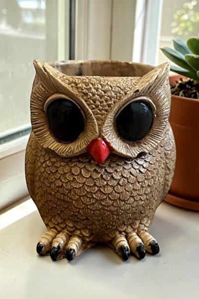 libre design Dekoratif 11 cm Kahverengi Baykuş Kaktüs Sukulent Saksı Ev Balko...