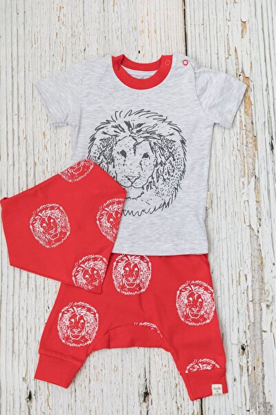 Miniworld Set baieti 3 piese din bumbac, model Lion, varsta 6-9 luni, 74 cm, ...