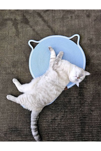 Quun EMSE Cat Play - Scratching Carpet and Mat