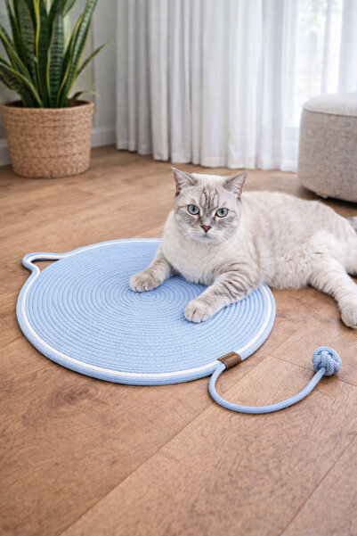 Quun EMSE Cat Play - Scratching Carpet and Mat
