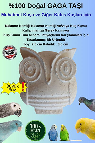 FEROXİT Doğal Kalamar Kemiği Gaga Taşı 7,5 cm | Kuşlar İçin Kalsiyum ve Miner...