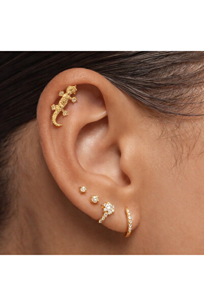Markiz Takı 316l Cerrahi Çelik Gold Kertenkeletaşlı Model Helix Tragus Piercing