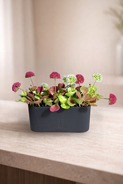 nftart.design Yapay Çiçek - Saksılı Top Çiçekler