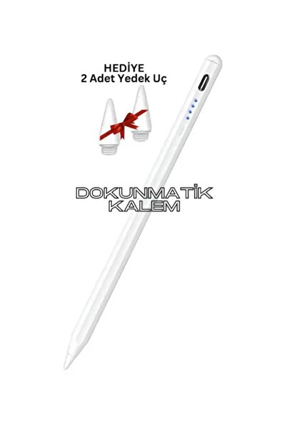 Techmaster iPad Uyumlu Avuç içi Reddi Özellikli Tablet Kalemi Stylus Yazı Çiz...