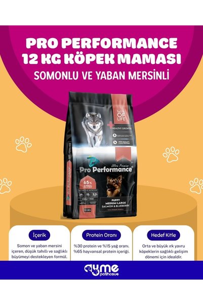 Pro Performance Pro Somonlu ve Yaban Mersinli Yavru Köpek Maması 12 Kg
