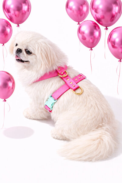 MOOD PAW طوق صدر للكلاب من النوع H قابل للتعديل ومضاد للجاذبية