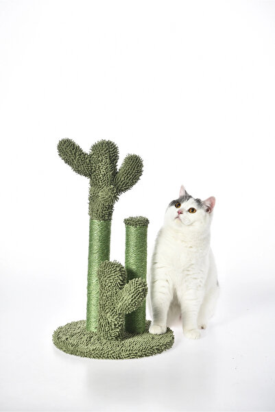 Pet Luxe Cat Scratching Post with Cactus Design