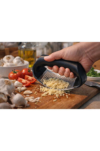 ARVALE Stainless Steel Garlic Crusher with Plastic Handle |