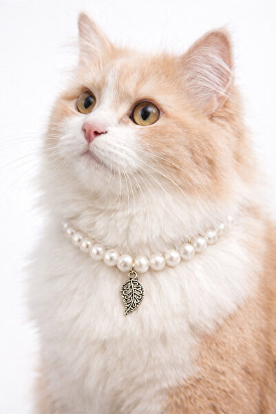 ALYA Golden Sun Pearl Cat Collar